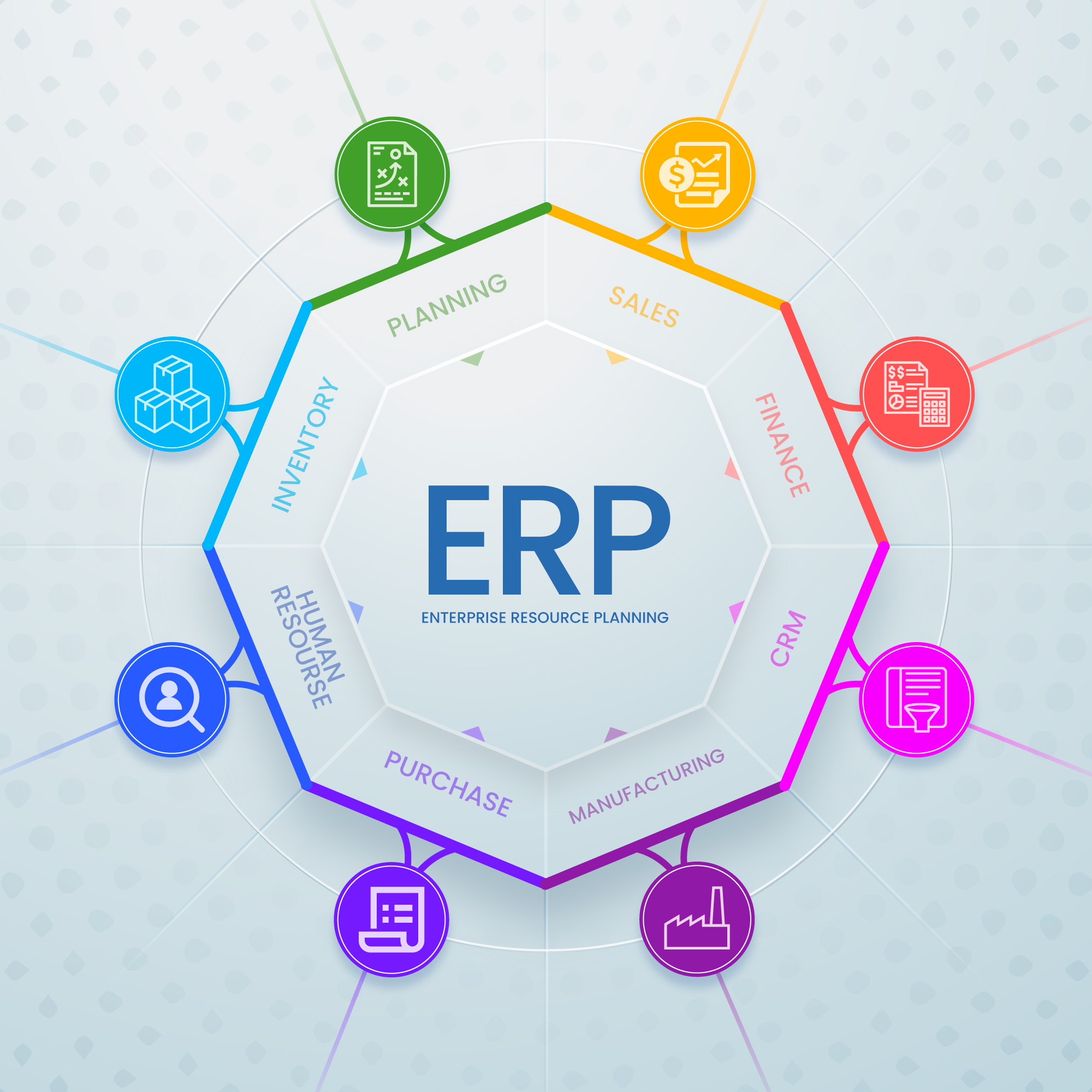 Enterprise Resource Planning